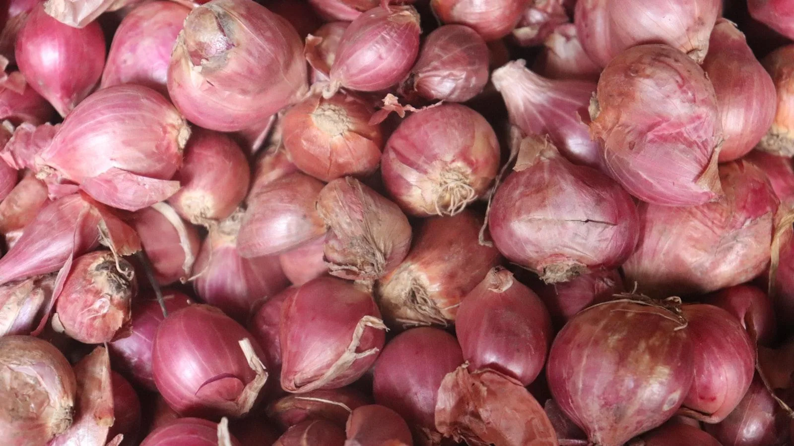 Especias que ayudan a mejorar la sensibilidad a la insulina en adultos mayores con diabetes