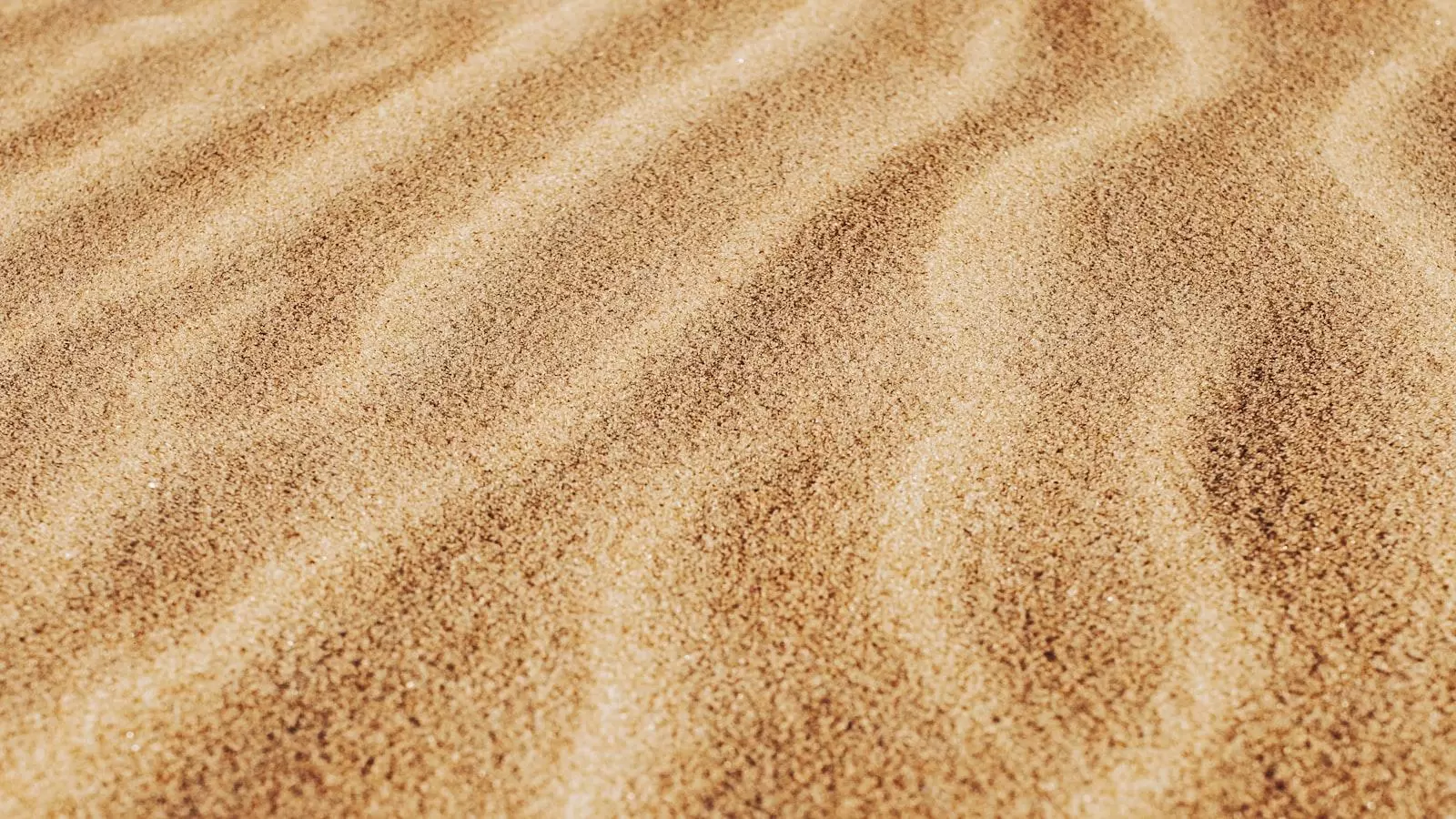 El‍ papel del cocinero en hogares⁣ geriátricos: más allá de la alimentación