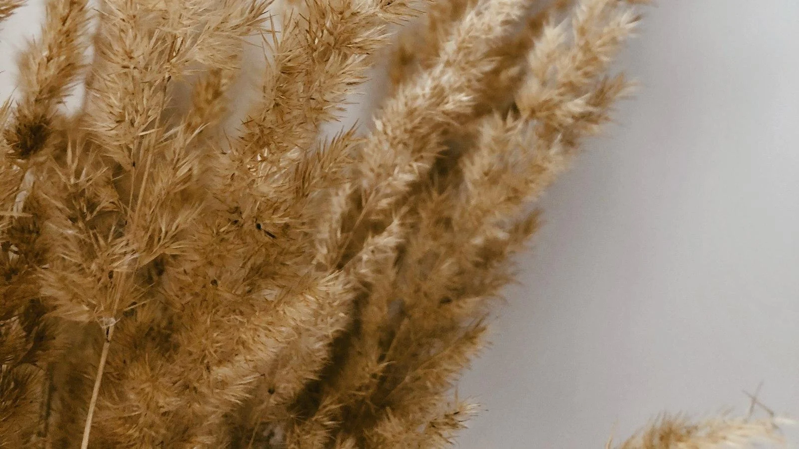 Recomendaciones ⁤para Brindar un Cuidado Geriátrico de ⁢Calidad