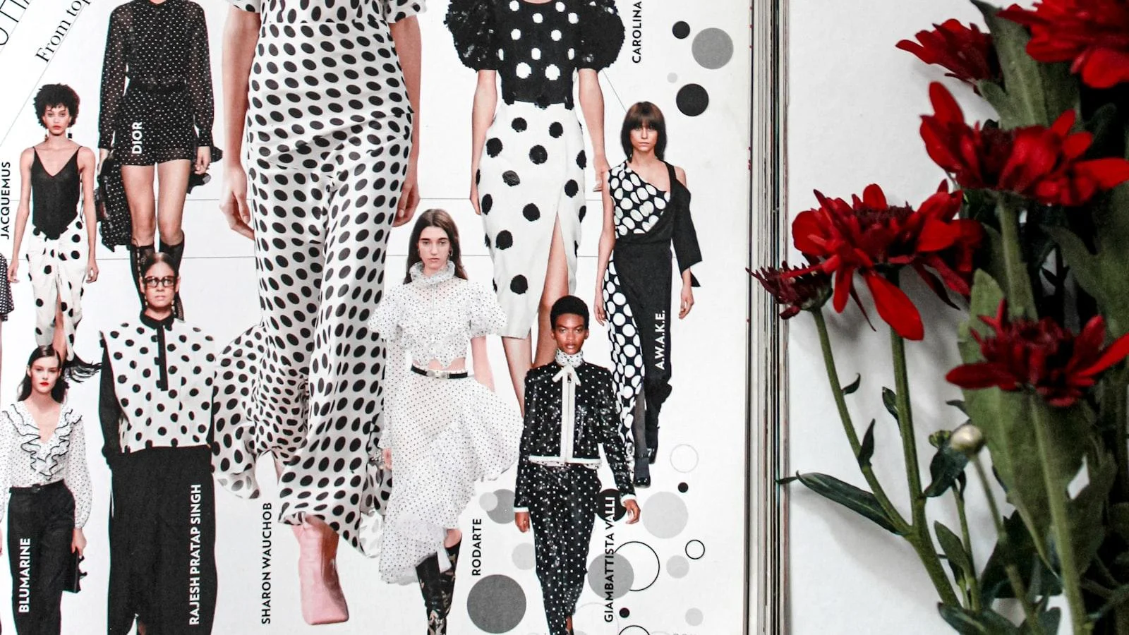 Tendencias en‍ cuidados geriátricos ⁤en Medellín