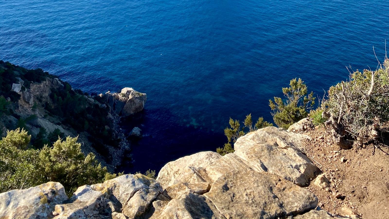 Actividades recreativas y ⁢sociales para ⁣promover ‌la ​interacción y el entretenimiento