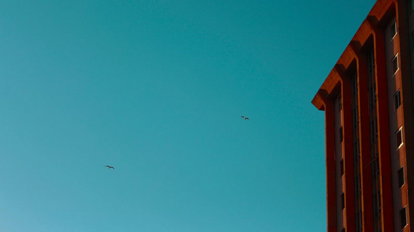 Descanso y bienestar para ‍adultos​ mayores en Medellín