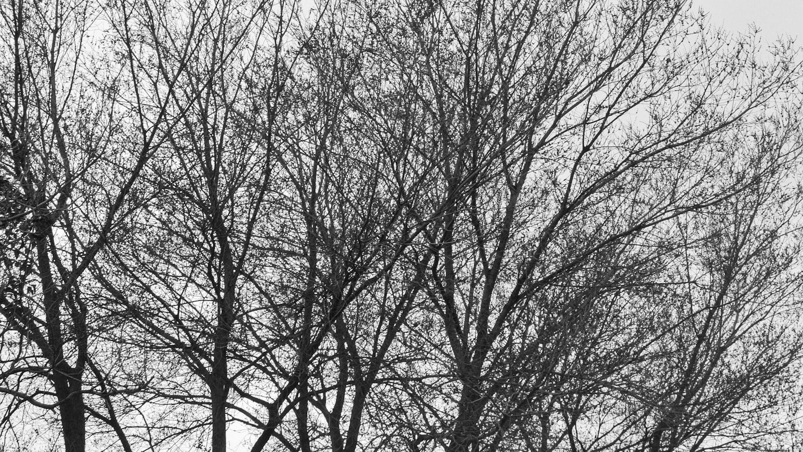 Ambientes diseñados para la⁢ comodidad y bienestar de los adultos mayores