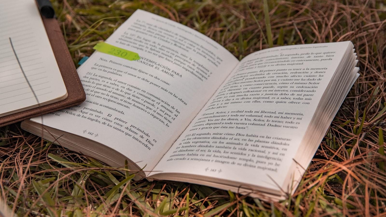 Ejemplos de ejercicios adaptados para⁢ ancianos con obesidad en residencias ⁤geriátricas