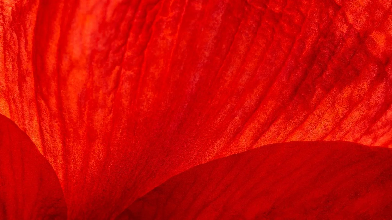 3. Red de apoyo: ⁣Conecta con⁢ otros miembros y fortalece tus lazos ‌sociales en un ambiente acogedor