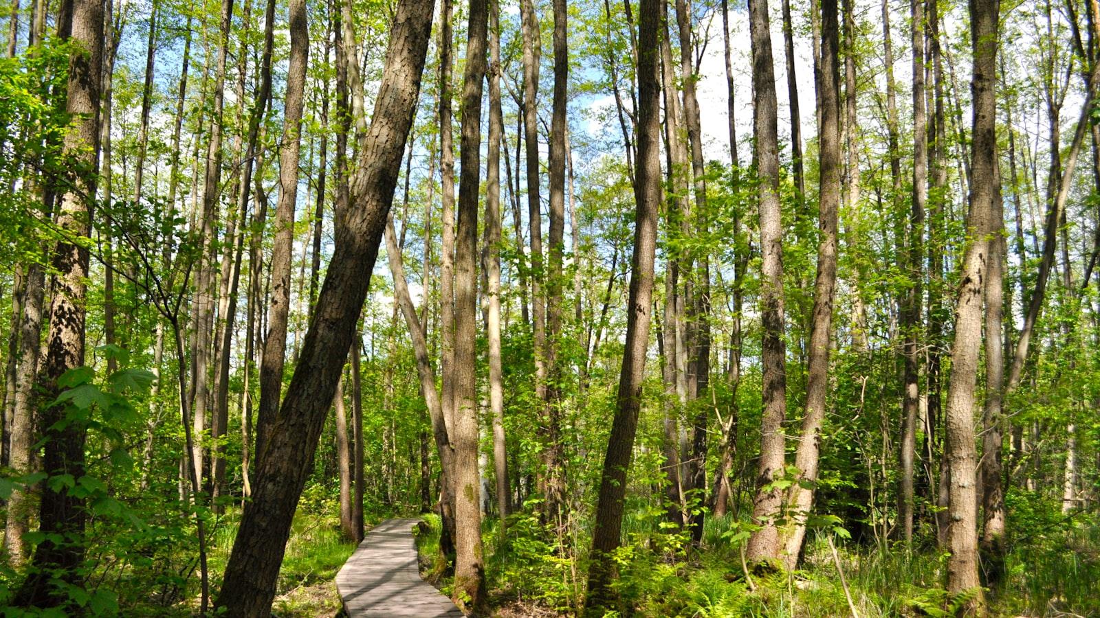 Ambiente Familiar: Espacios Cálidos y Acogedores para los Residentes