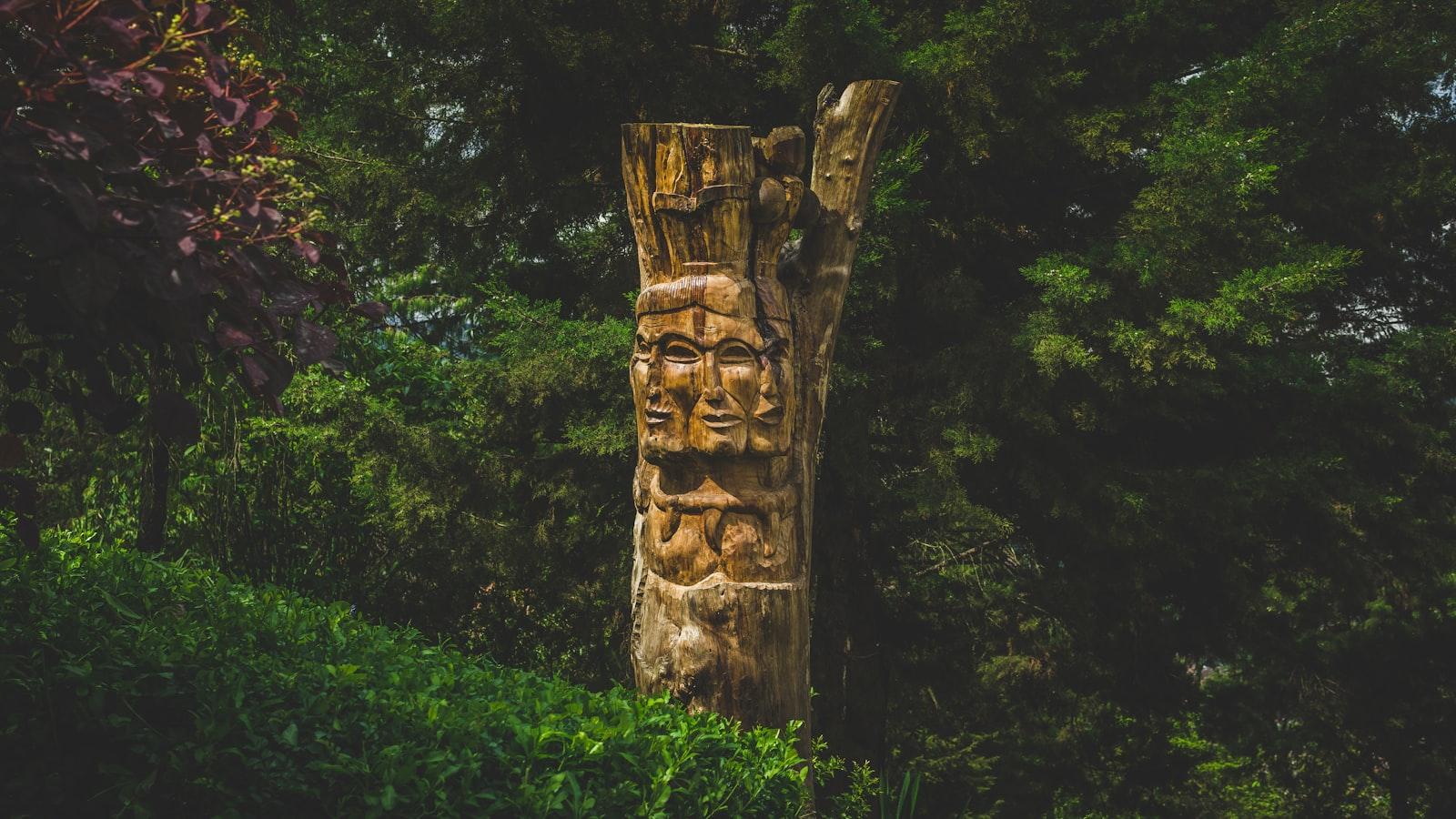 Recomendaciones para ‍elegir‌ el mejor asilo en ⁢Medellín