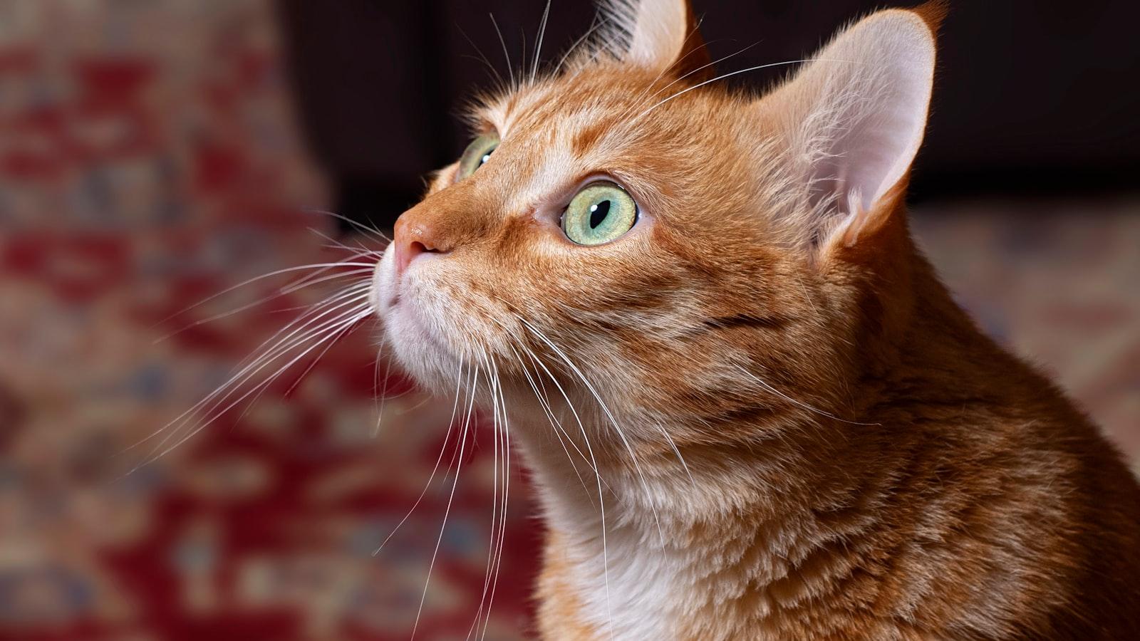 Atención personalizada y dedicada a cada residente