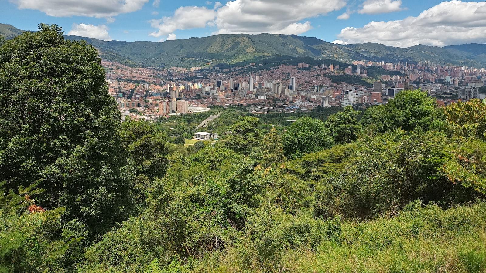 Sumérgete en la cultura local: ⁣arte,‍ gastronomía y tradiciones de Medellín