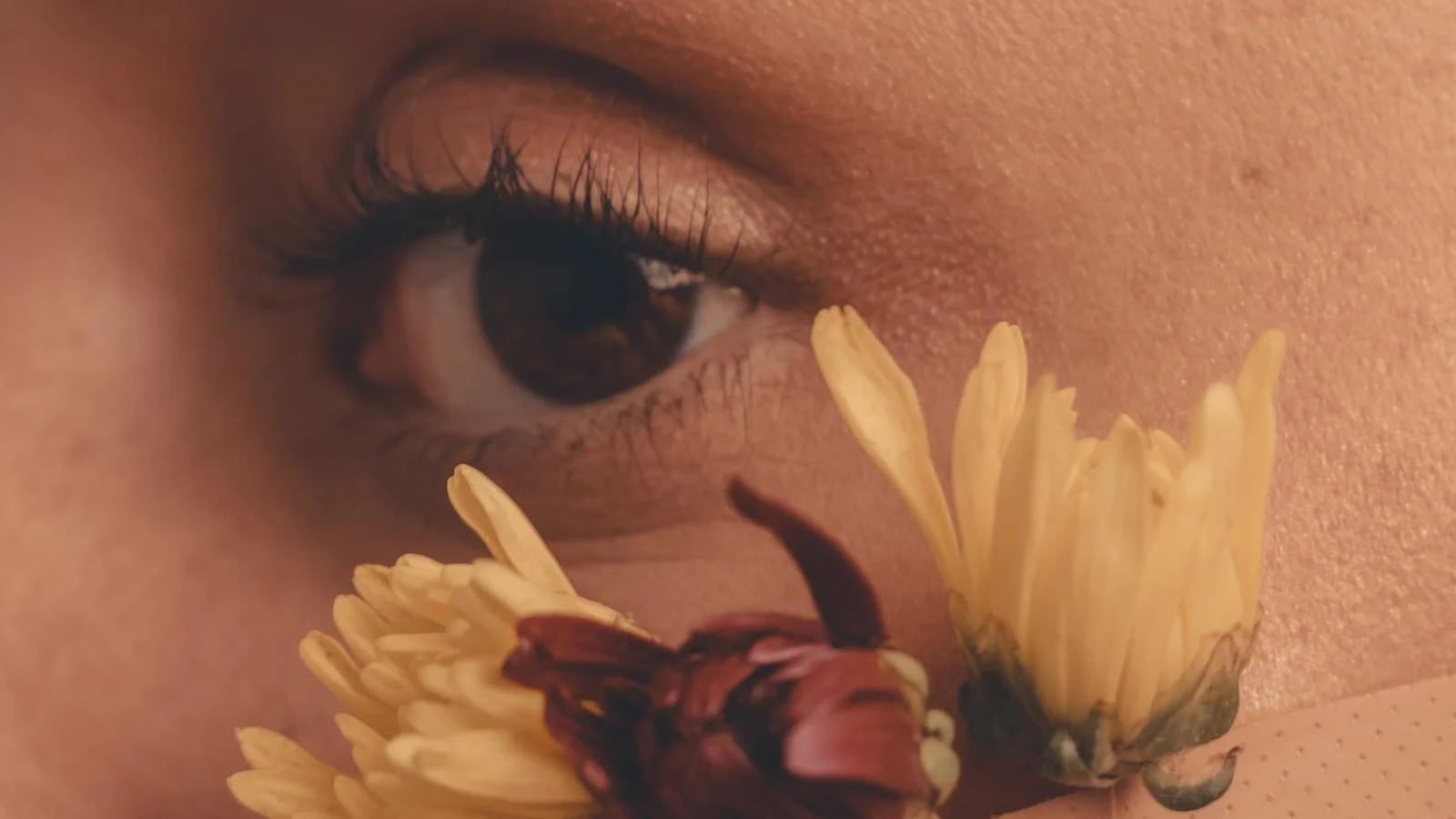 Mejora tu bienestar con la ayuda de un experto en nutrición en Medellín