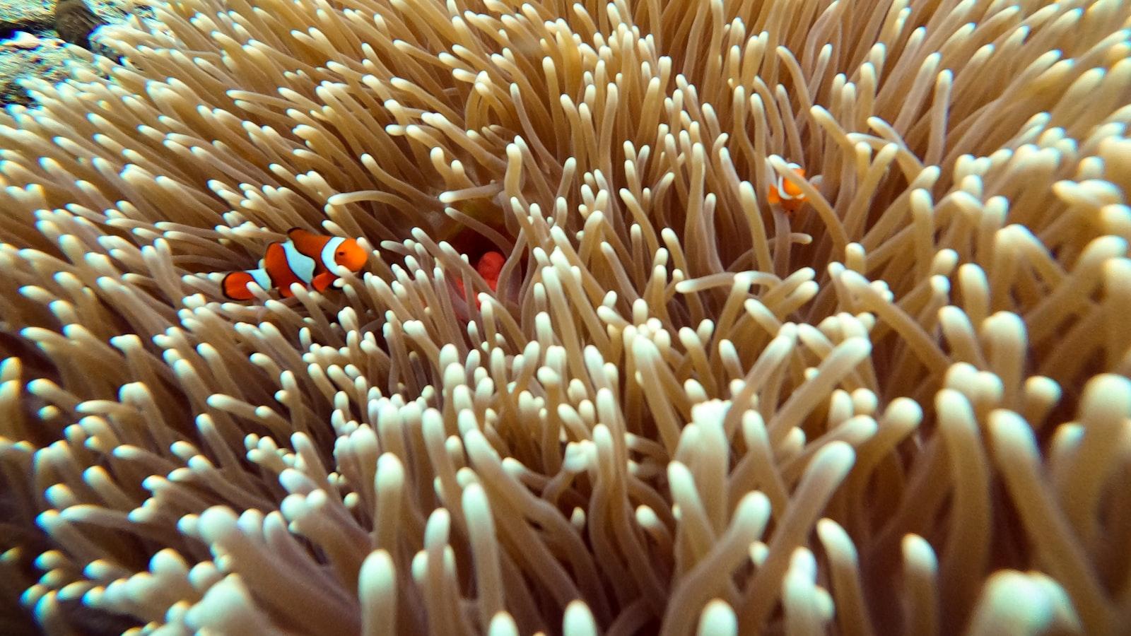 Actividades recreativas y sociales para promover la integración y el entretenimiento