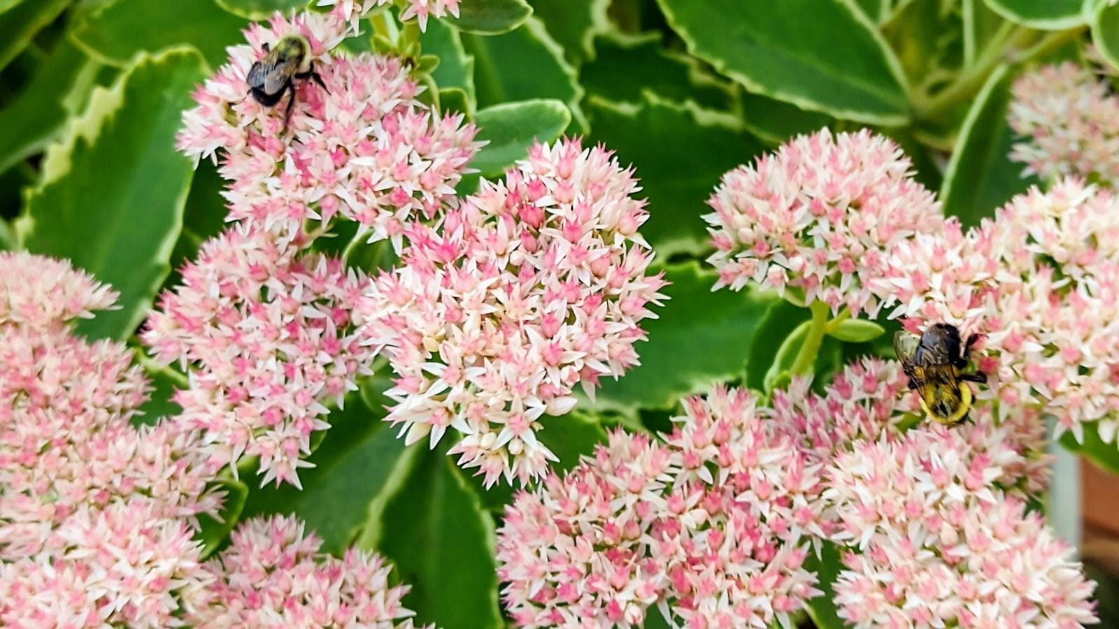 - Creación de experiencias culinarias de alta calidad que resalten el cuidado y‍ la atención