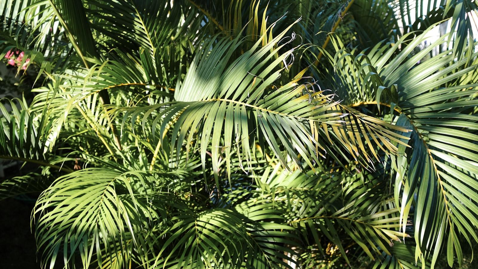 Encuentros y⁣ convivencia​ en un ambiente seguro y acogedor