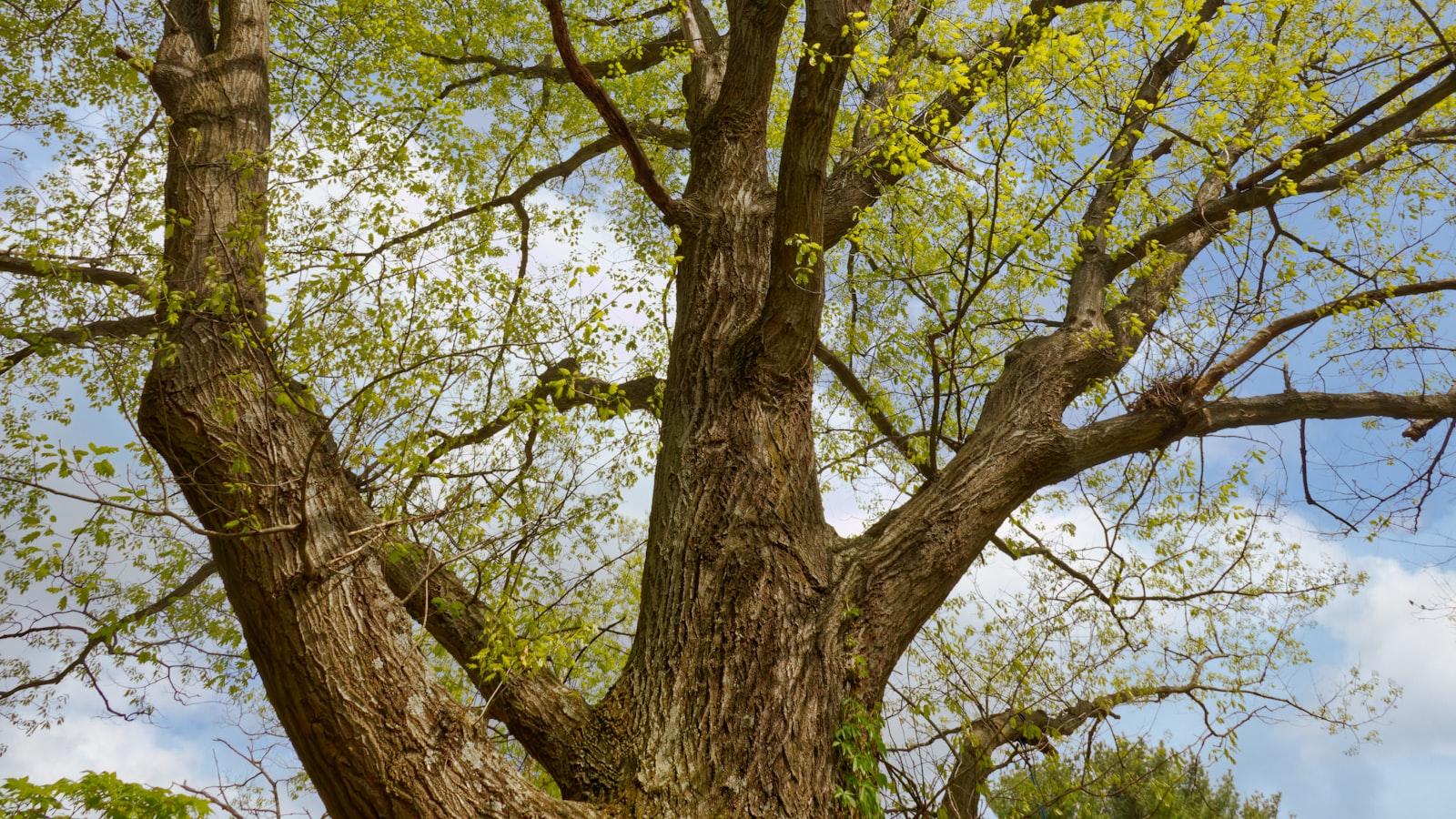 Los ⁣desafíos de la población adulta mayor en Medellín
