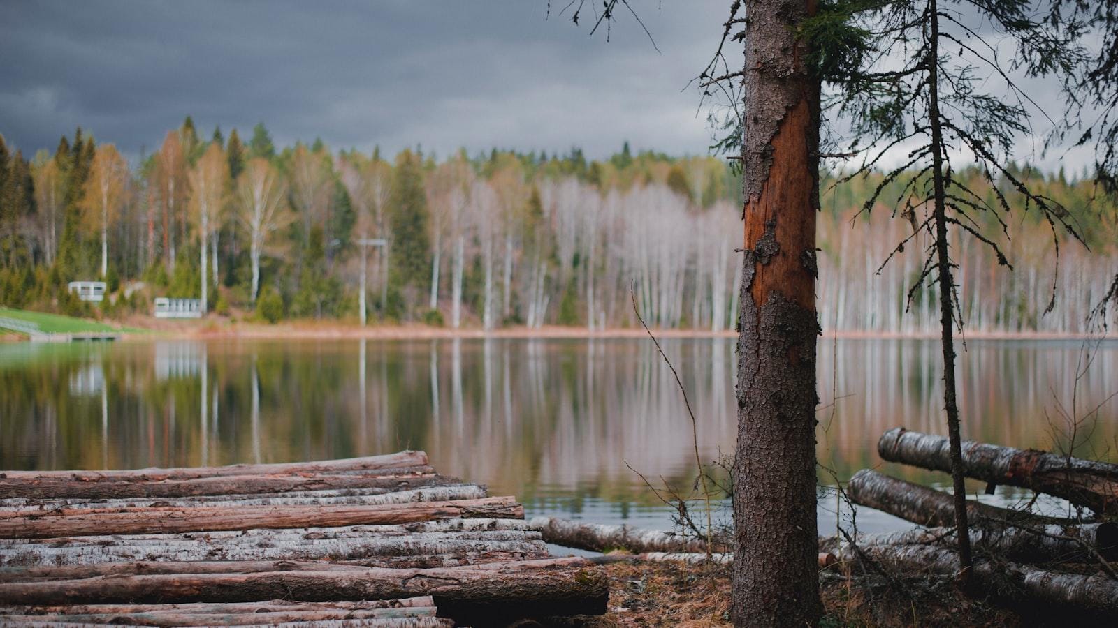 Síntomas silenciosos de complicaciones diabéticas en adultos mayores