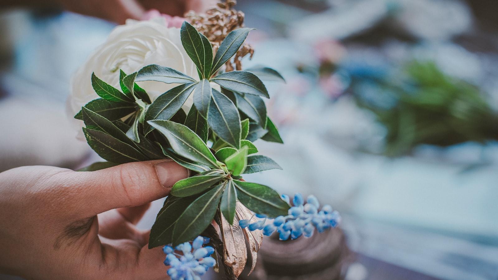 Creación de un ambiente vital y acogedor en los hogares geriátricos de la ciudad
