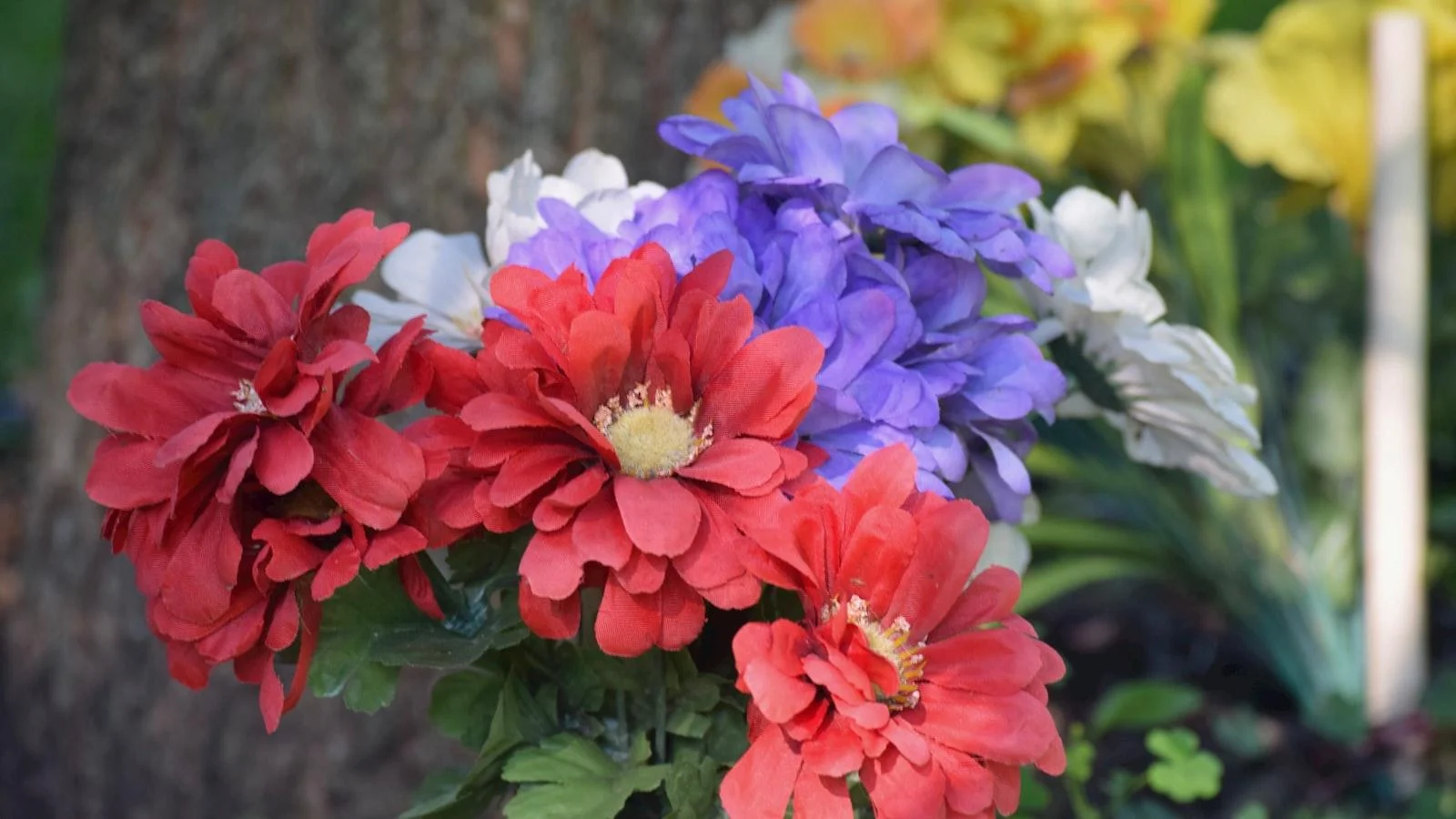 - Un recorrido por Senderos de Celebración ⁢en Medellín