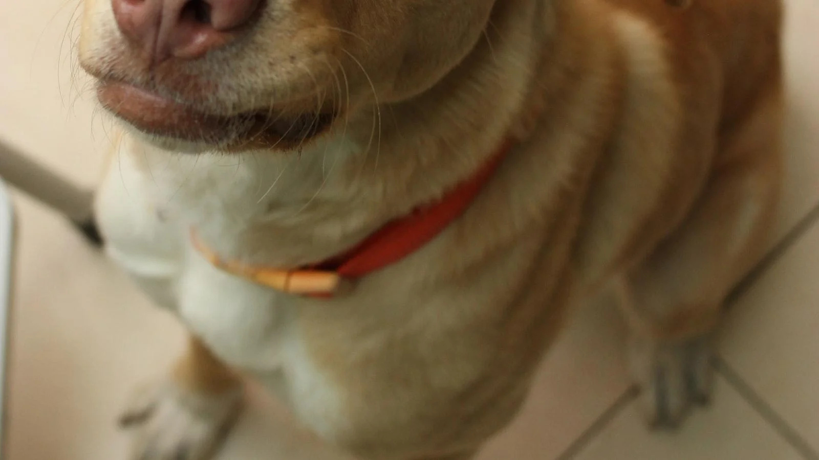 Atención ⁣personalizada y especializada para cada residente