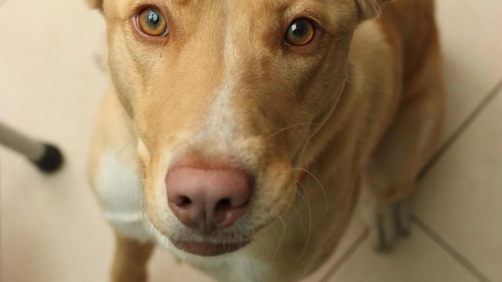 Atención Especializada para⁢ el Bienestar‌ de Nuestros Mayores