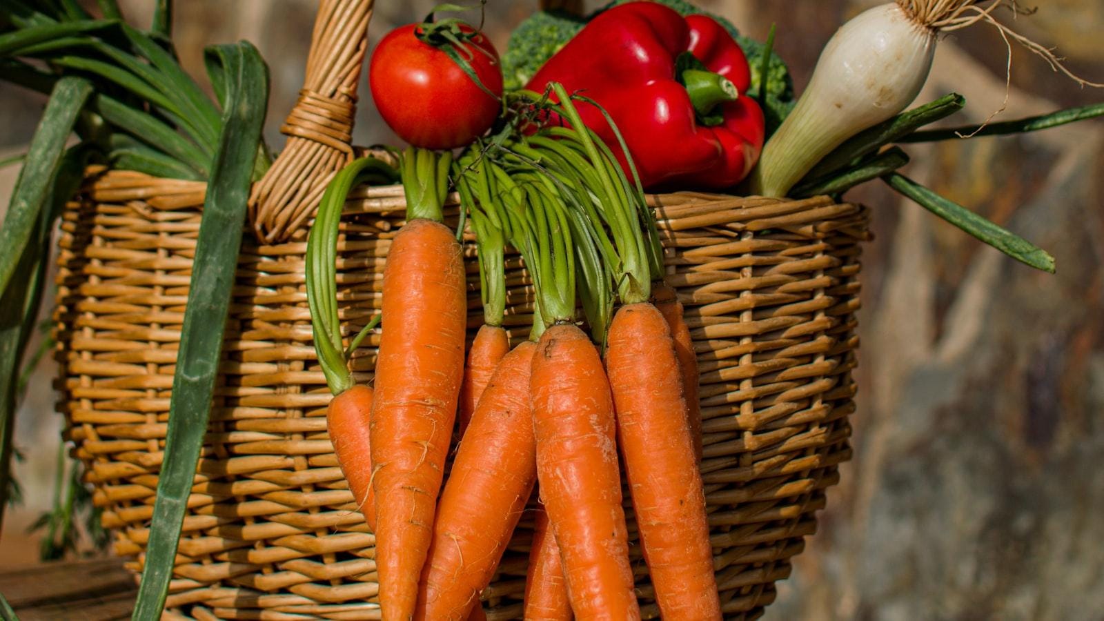 Nutrición adecuada como pilar fundamental en el tratamiento de la diabetes en el adulto mayor