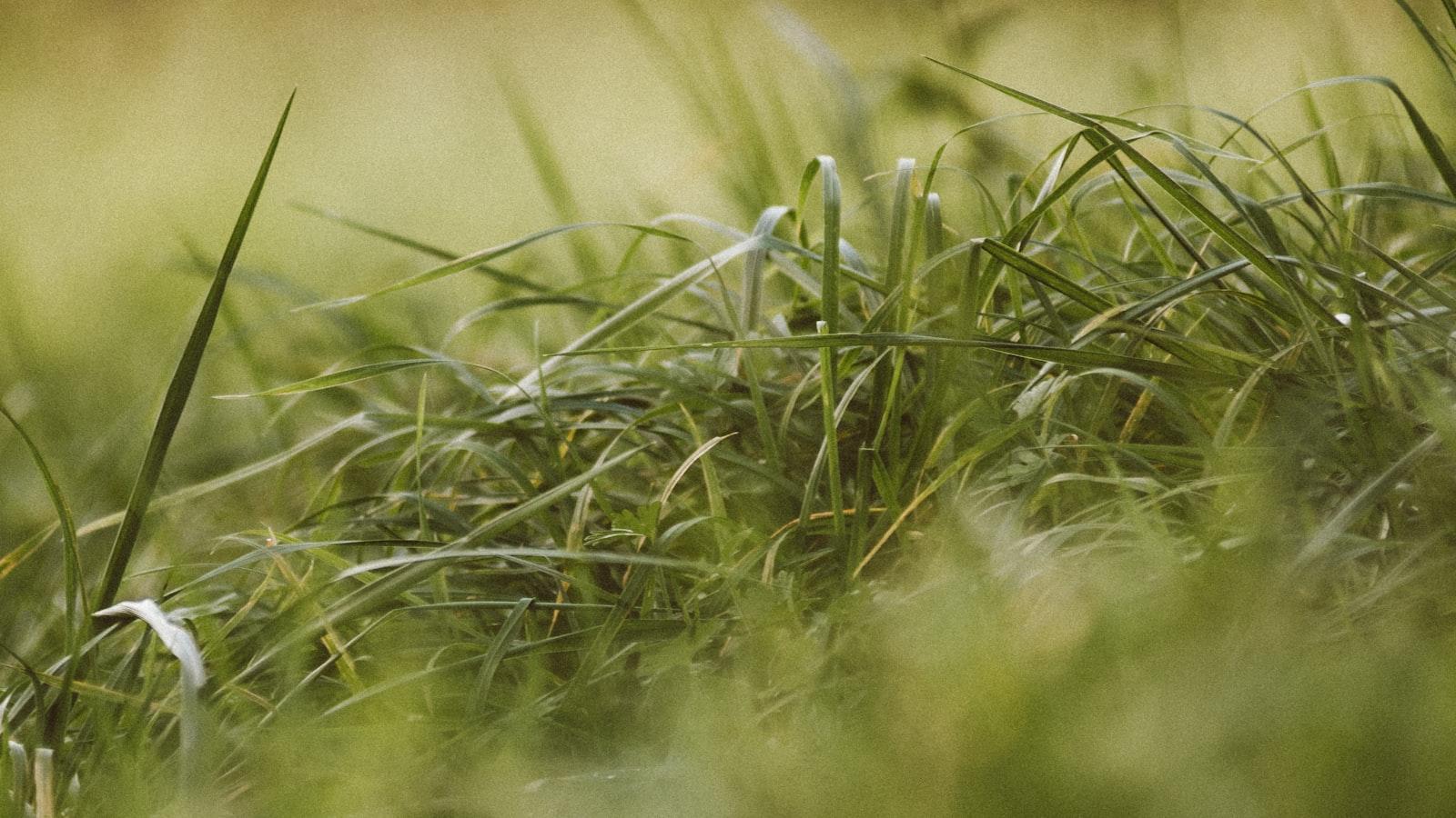 Detalles que marcan la diferencia en ⁢Celebraciones⁣ Medellin