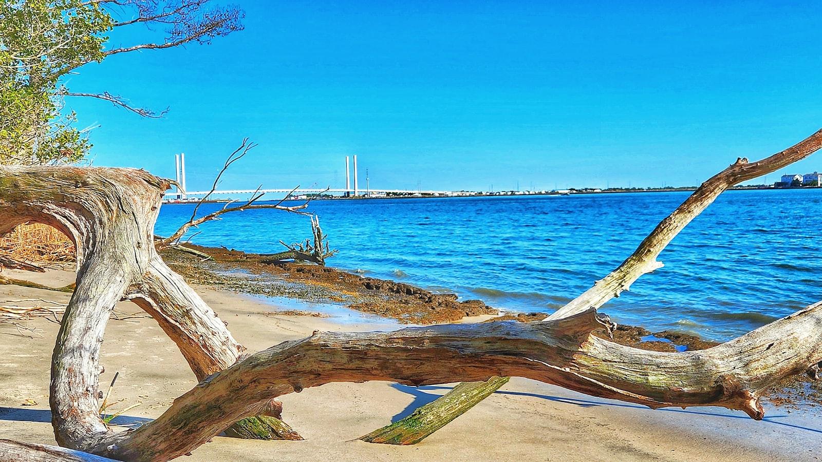 Un Espacio de Cuidado Geriátrico que Inspira ⁤Ternura