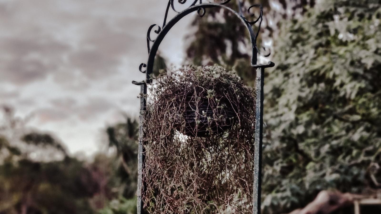 Aspectos a considerar al elegir un hogar geriátrico en Medellín