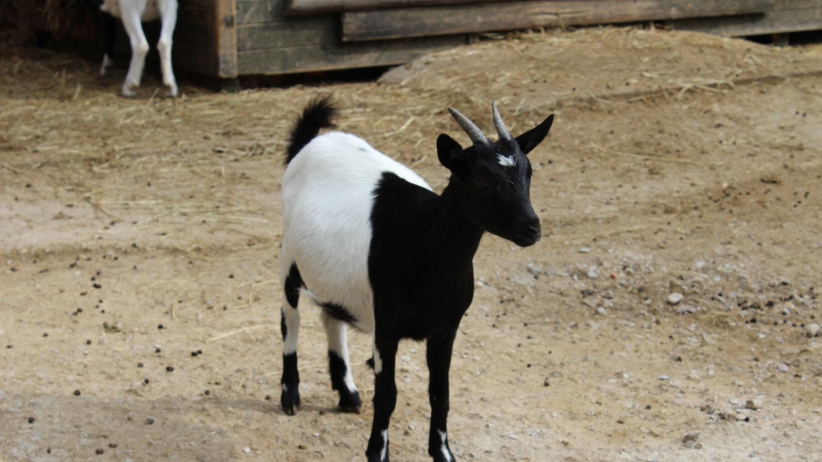 Los beneficios de⁣ la terapia ocupacional y recreativa⁢ en la plenitud ⁤de ‍vida