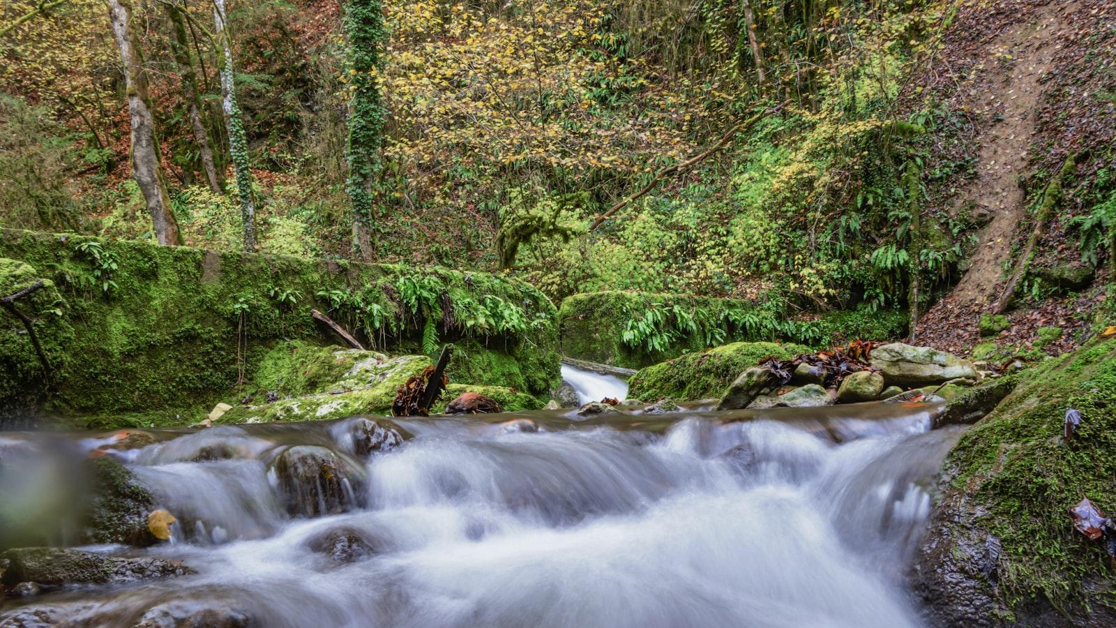 ¡Vive una vida⁢ plena y feliz en Castropol!