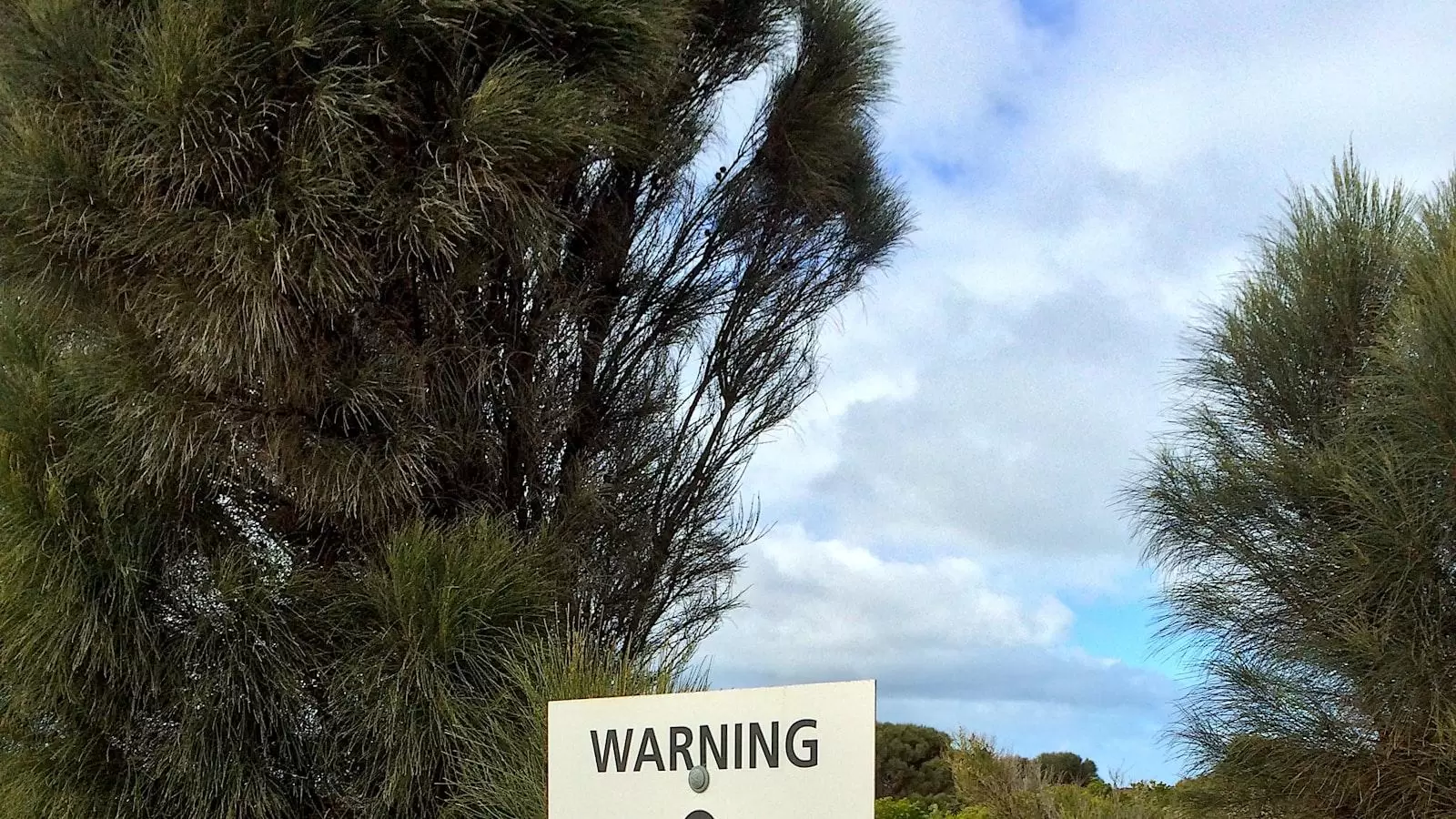 El cuidado geriátrico excepcional que ‌necesitas