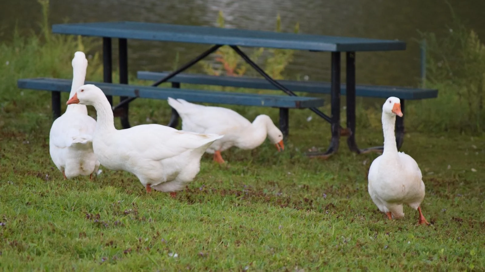 Beneficios de los Cuidados⁢ de Salud ⁤en Corazón de Jesús Medellín