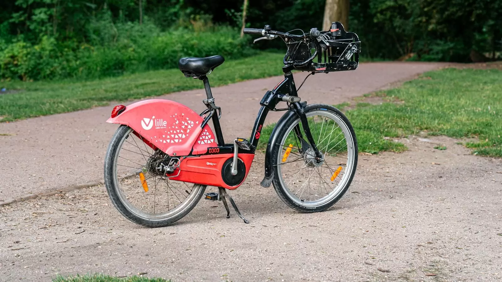 Servicios integrales que promueven la autonomía y la plenitud