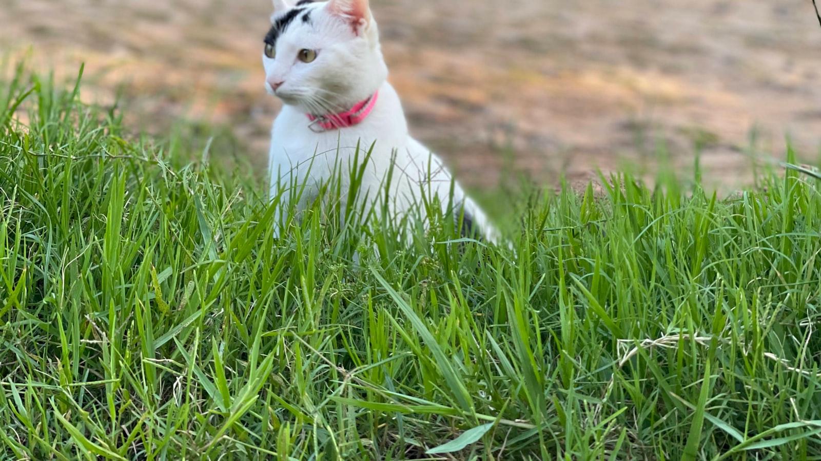 Disfrutando ‍de la naturaleza en los alrededores de la ciudad