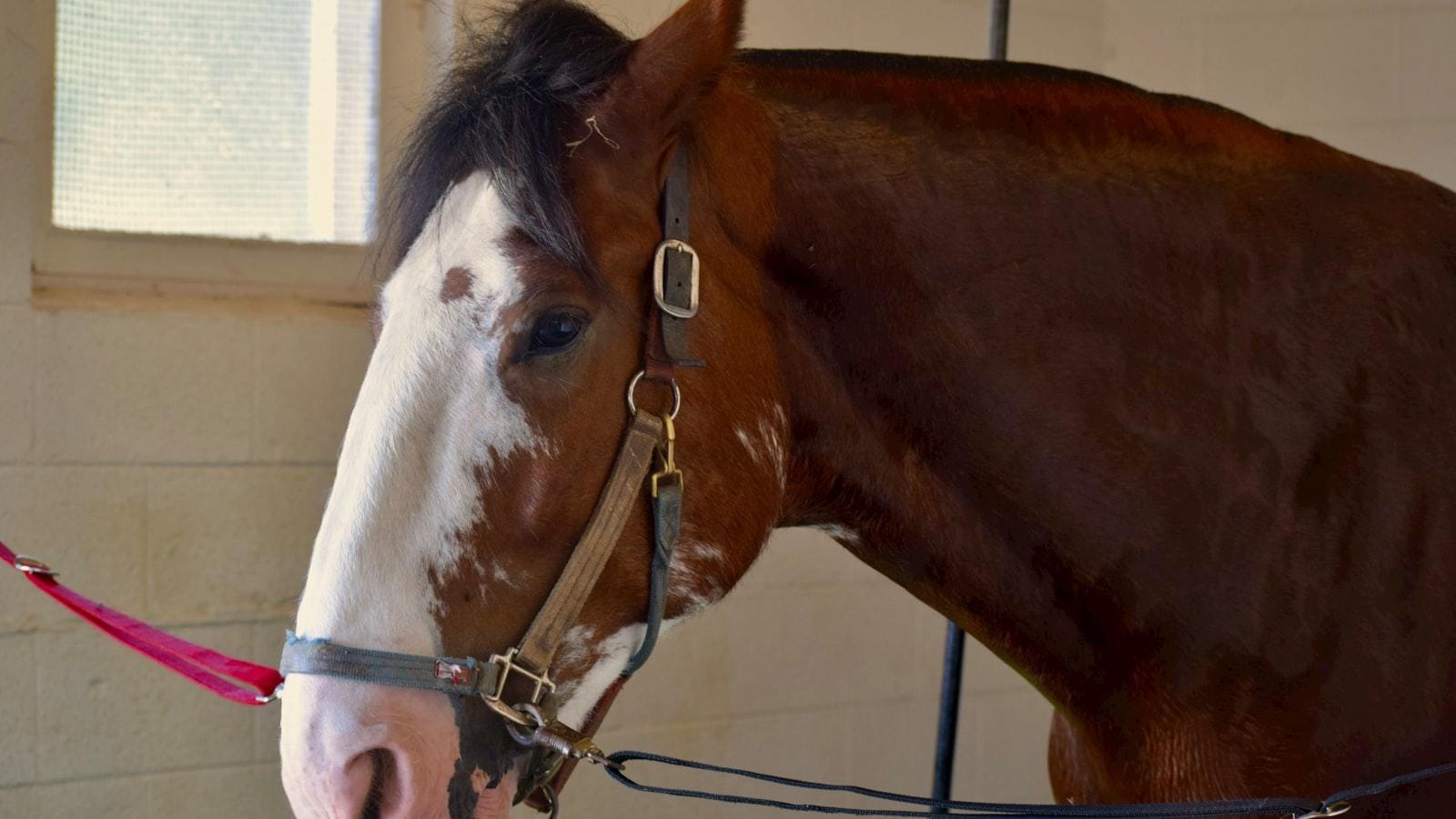 Incorporación de purificadores de aire en espacios cerrados