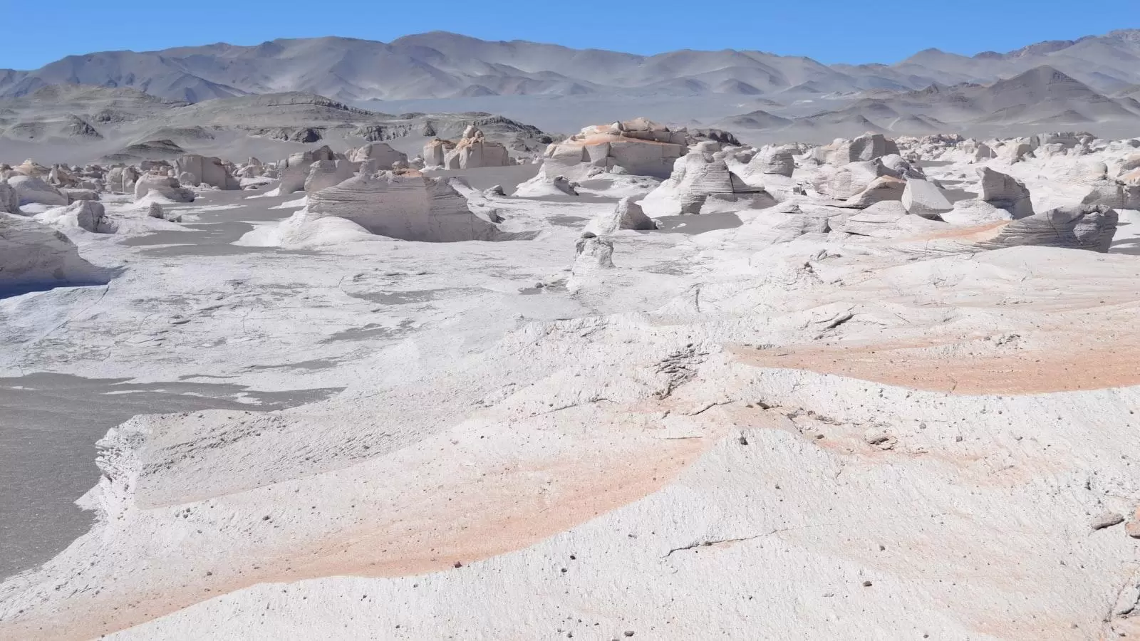 Importancia de la formación‍ especializada ⁢en ⁤el cuidado de personas mayores