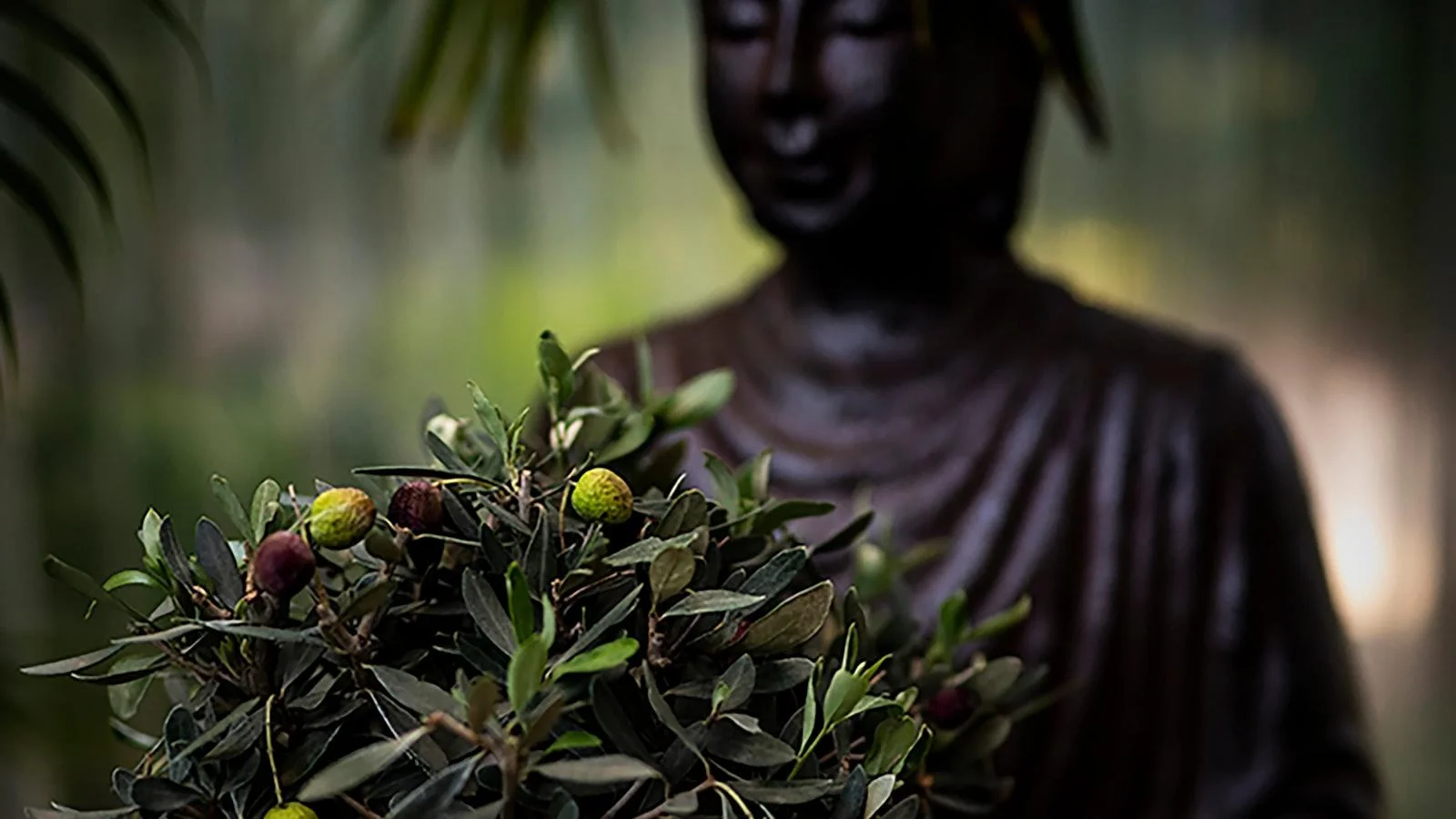 Beneficios ‍de elegir‌ un hogar geriátrico en Medellín para tu bienestar