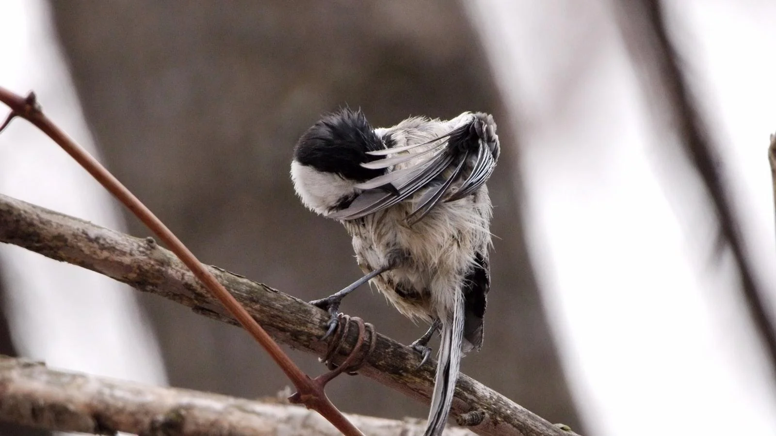 Recomendaciones Generales para Ejercicios Seguros