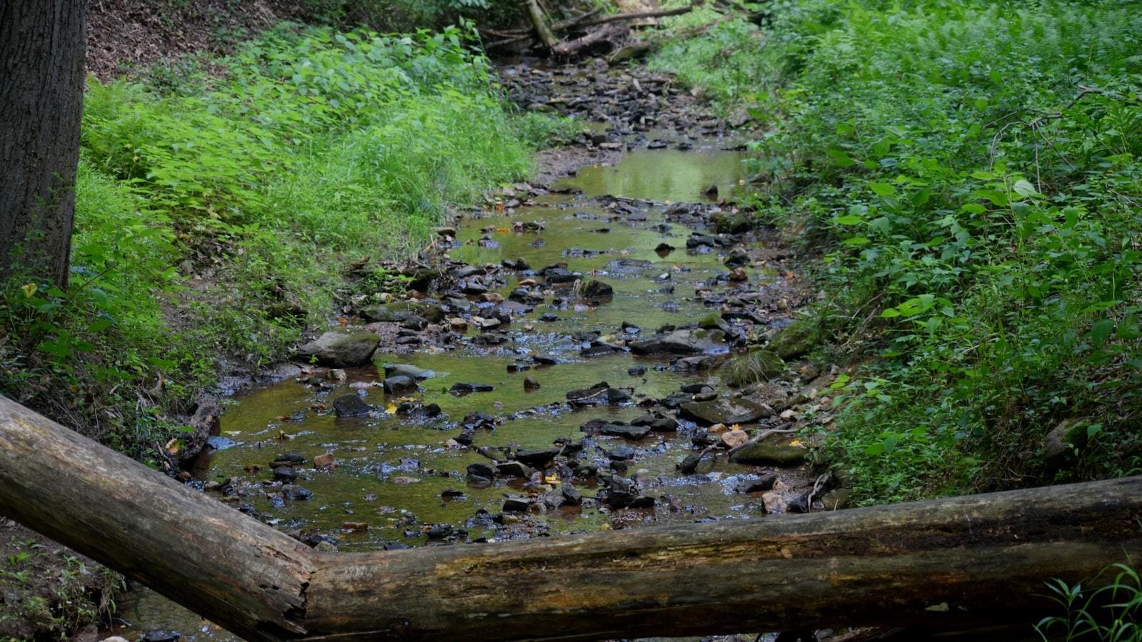 Beneficios ‍de ‍las nuevas características de las bombas de⁢ insulina