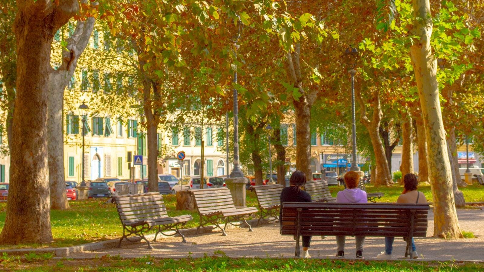 Consideraciones clave para la implementación segura de ejercicios en adultos mayores con asma