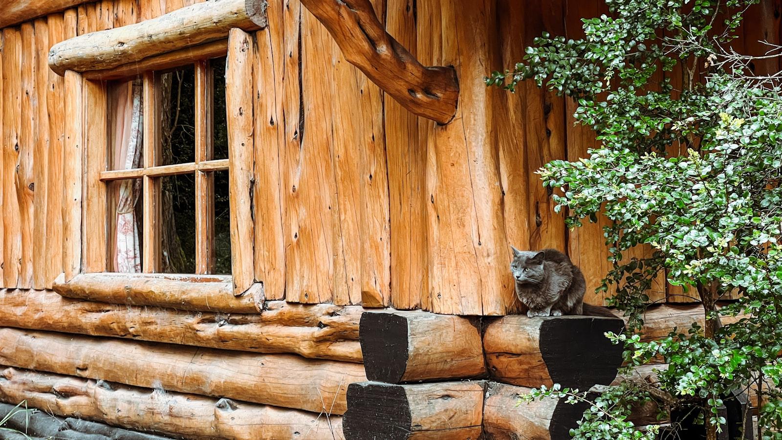 Explora la importancia de crear un ambiente acogedor ⁣y seguro para‍ los ⁢residentes