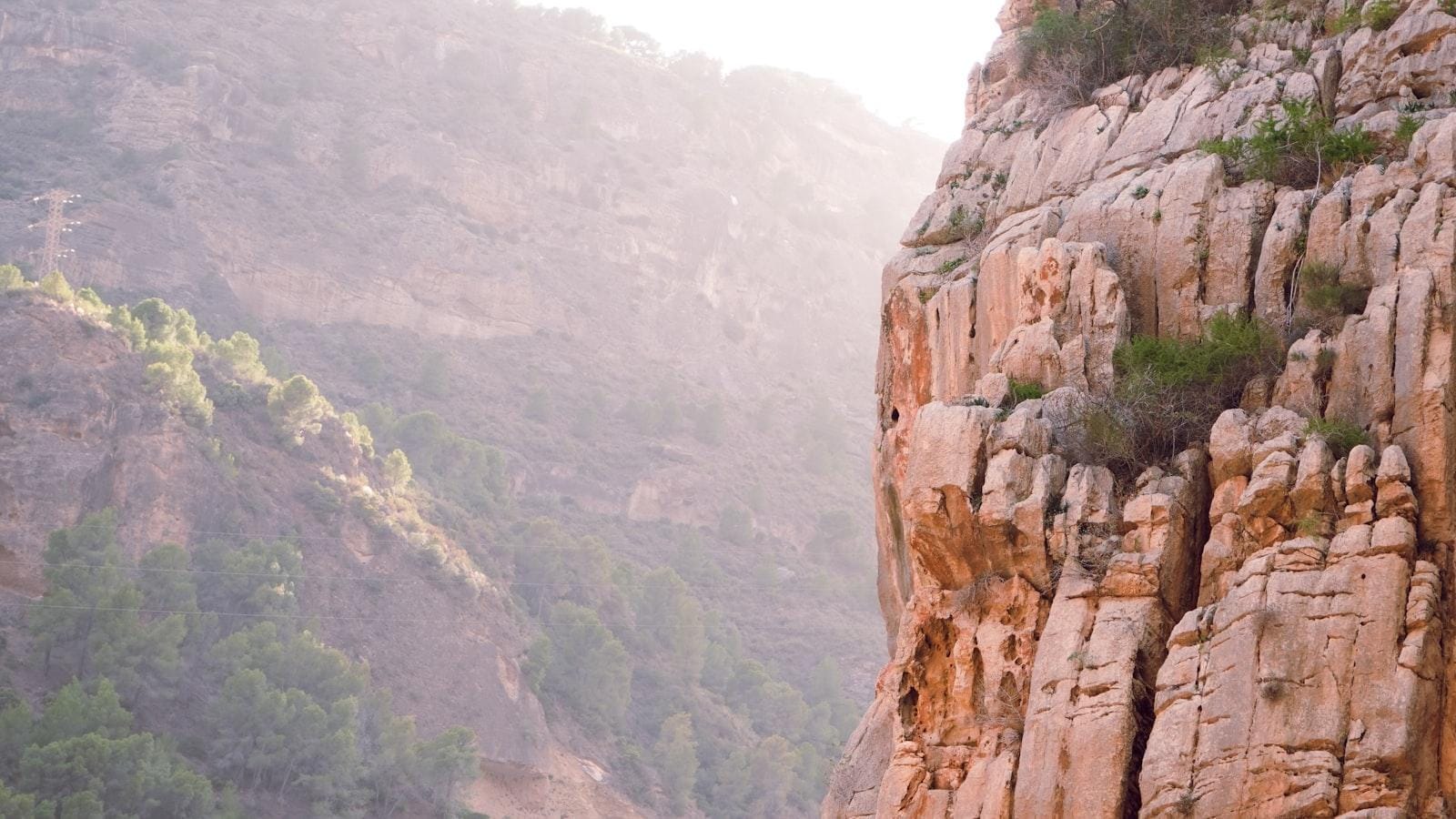 Cómo la purificación del aire puede reducir los síntomas del asma en pacientes