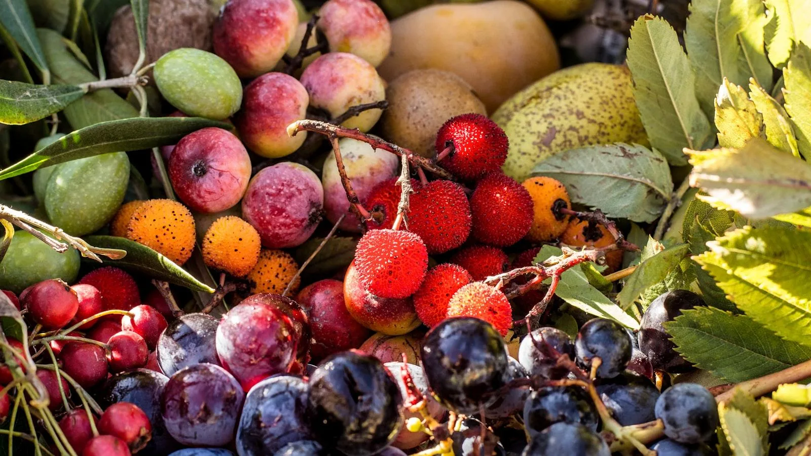 Importancia de la dieta vegetariana en el control de la diabetes tipo 2