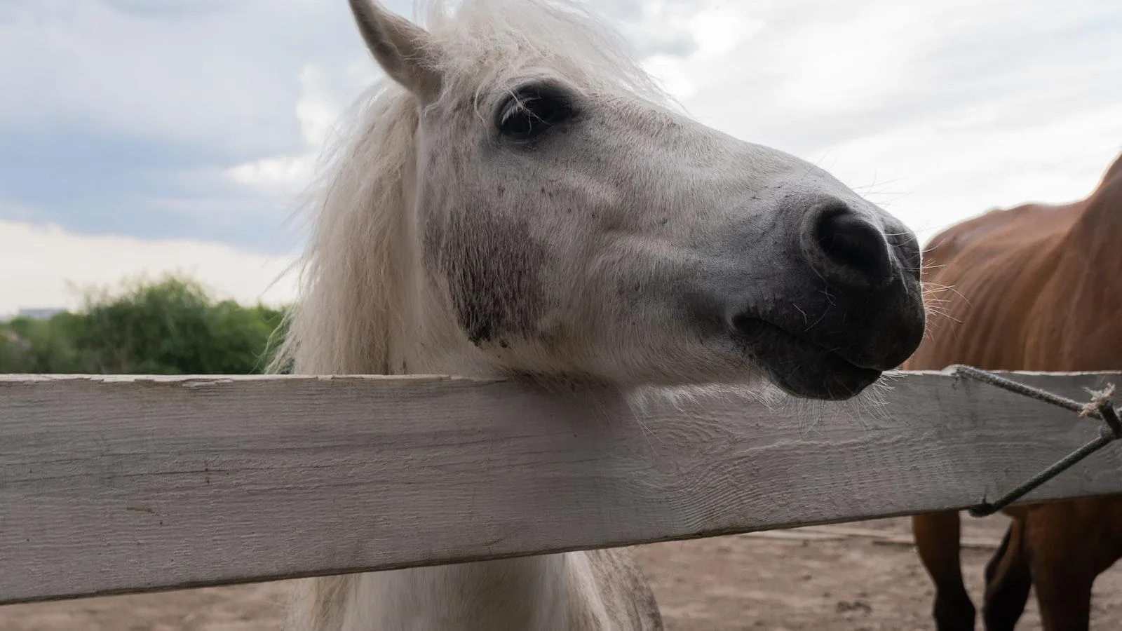 Mejores prácticas para el uso seguro y efectivo de bombas de insulina en adultos mayores