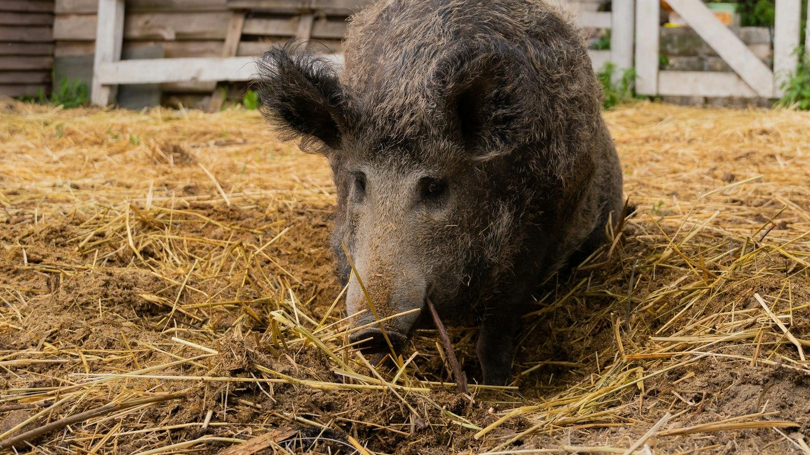 Bienestar integral para adultos mayores en San Germán Medellín