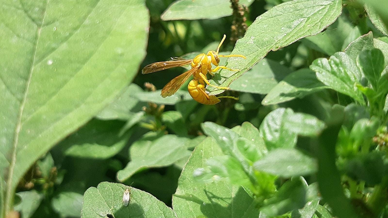 Roles y responsabilidades del cuidador en la comunicación
