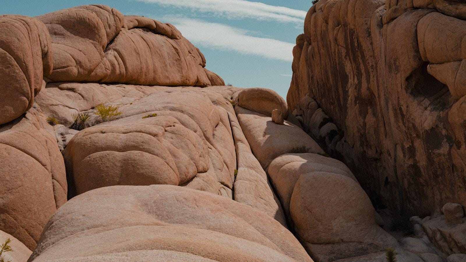 Beneficios de la preparación ante cambios estacionales