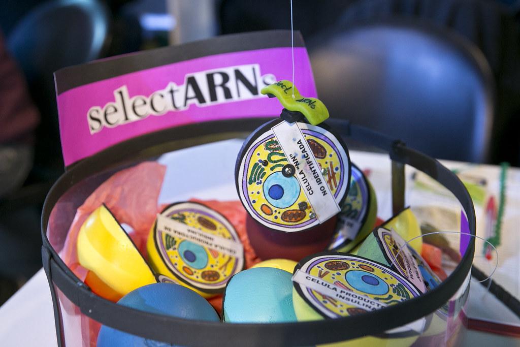 Innovaciones en productos y tratamientos para cuidar la piel de ancianos obesos