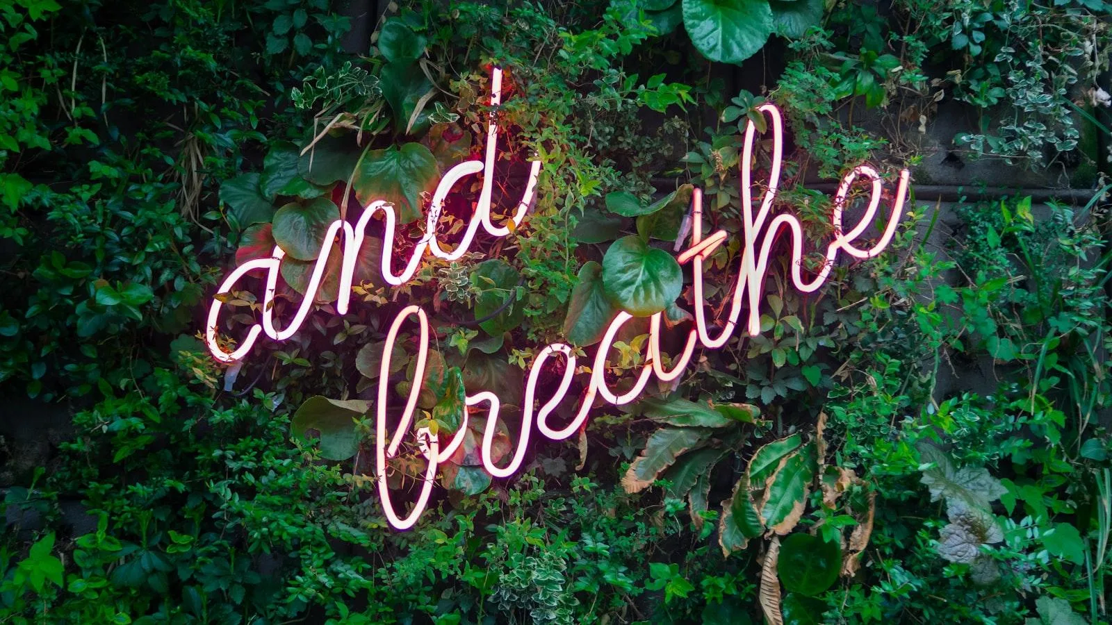 Estrategias de yoga y meditación ⁤para fomentar hábitos saludables