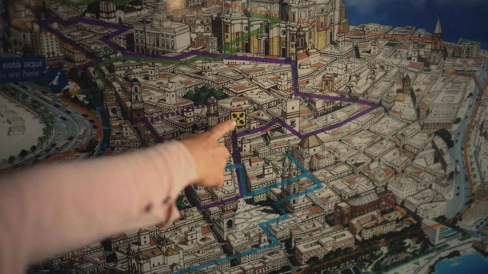 Estrategias nutricionales para controlar la ‍obesidad y sus enfermedades asociadas