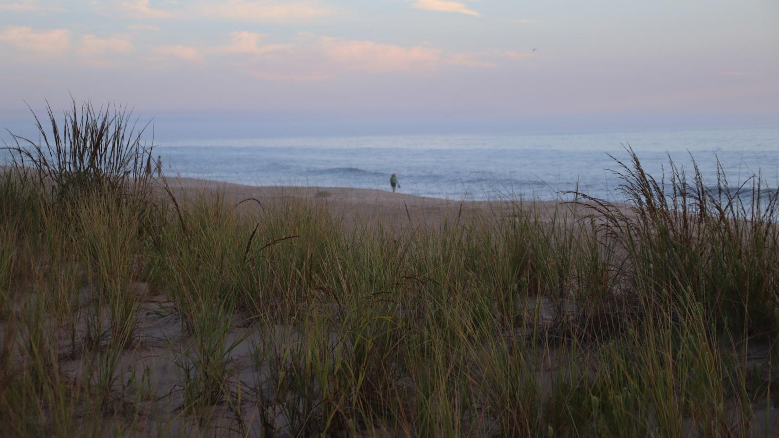 Efectos‌ de la ‌deficiencia⁣ de vitamina D ‍en el ⁤metabolismo y la función ‌inmunológica